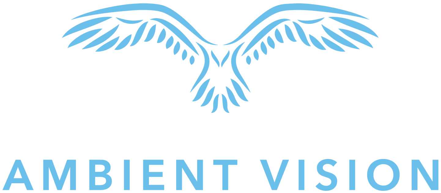 Ambient Vision